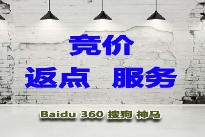 sem竞价托管代运营的实战技巧与案例